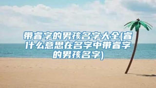 带睿字的男孩名字大全(睿什么意思在名字中带睿字的男孩名字)