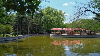 梦到结婚了很仓促(梦见催婚什么意思)