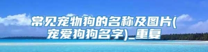 常见宠物狗的名称及图片(宠爱狗狗名字)_重复