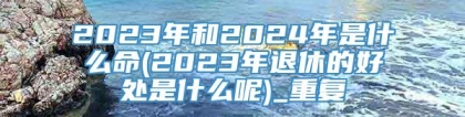 2023年和2024年是什么命(2023年退休的好处是什么呢)_重复