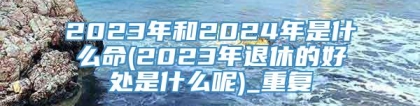 2023年和2024年是什么命(2023年退休的好处是什么呢)_重复