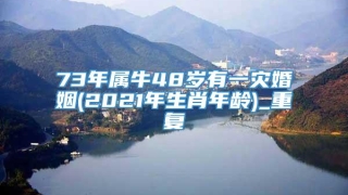 73年属牛48岁有一灾婚姻(2021年生肖年龄)_重复