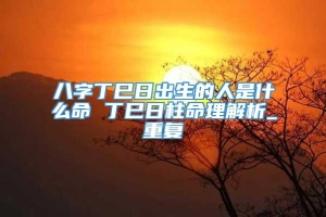 八字丁巳日出生的人是什么命 丁巳日柱命理解析_重复