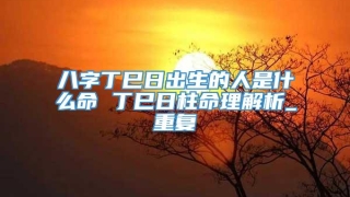 八字丁巳日出生的人是什么命 丁巳日柱命理解析_重复
