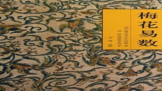 梅花易数预测数字具体方法(梅花易数的神奇魅力)