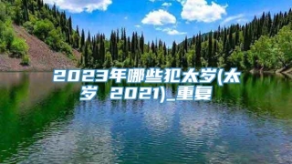 2023年哪些犯太岁(太岁 2021)_重复