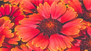 2021年立春八字预测(2021年寡妇年)_重复