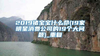 2019猪宝宝什么命(19家明星消费公司的19个大问题)_重复