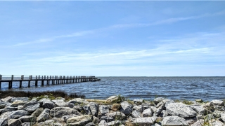 彬字起名配什么字好(起名儿的拼音)