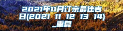 2021年11月订亲最佳吉日(2021 11 12 13 14)_重复