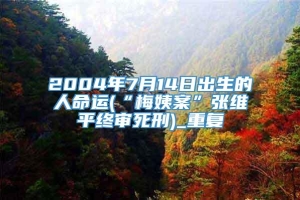 2004年7月14日出生的人命运(“梅姨案”张维平终审死刑)_重复