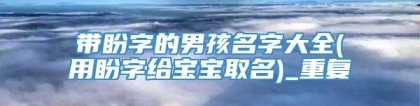 带盼字的男孩名字大全(用盼字给宝宝取名)_重复