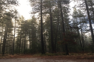 祠堂是什么意思(祠堂是什么)