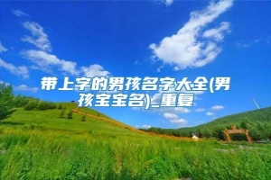 带上字的男孩名字大全(男孩宝宝名)_重复