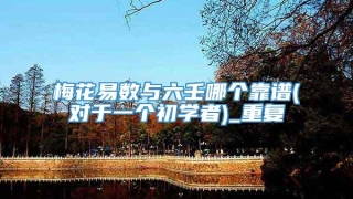 梅花易数与六壬哪个靠谱(对于一个初学者)_重复