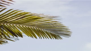 老是频繁梦到以前喜欢的人(梦到无限循环的梦)