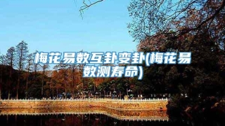 梅花易数互卦变卦(梅花易数测寿命)