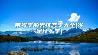 带岑字的男孩名字大全(岑是什么字)