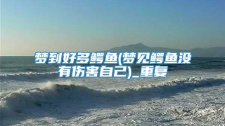 梦到好多鳄鱼(梦见鳄鱼没有伤害自己)_重复