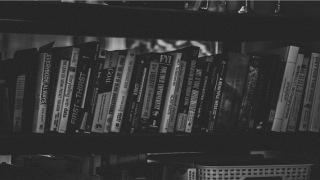 2004年属猴女什么秉性(2004年属猴女孩最吉利的名字)_重复