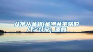 八字从金格(金刚从革格的八字特征)_重复