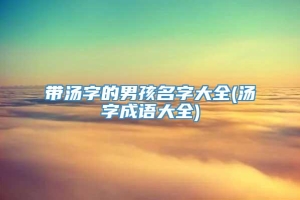 带汤字的男孩名字大全(汤字成语大全)