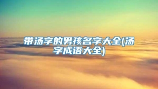 带汤字的男孩名字大全(汤字成语大全)