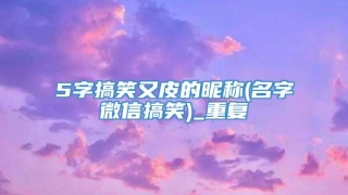 5字搞笑又皮的昵称(名字微信搞笑)_重复