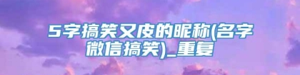 5字搞笑又皮的昵称(名字微信搞笑)_重复