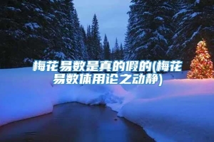 梅花易数是真的假的(梅花易数体用论之动静)