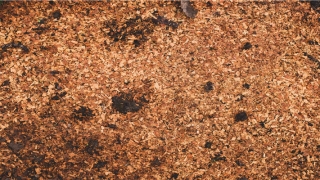 结婚15年是什么婚祝福语(15对有夫妻相的明星)