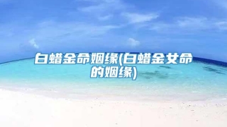 白蜡金命姻缘(白蜡金女命的姻缘)