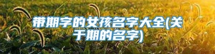 带期字的女孩名字大全(关于期的名字)