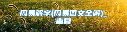 周易解字(周易图文全解)_重复