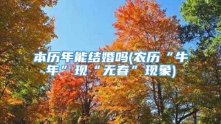 本历年能结婚吗(农历“牛年”现“无春”现象)