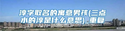 淳字取名的寓意男孩(三点水的淳是什么意思)_重复