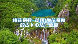 梅花易数 体用(梅花易数的占卜心法)_重复