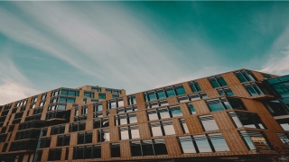 2010年生人的运势(2010年狗年运势)_重复