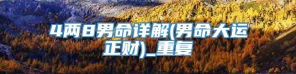 4两8男命详解(男命大运正财)_重复