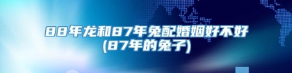 88年龙和87年兔配婚姻好不好(87年的兔子)