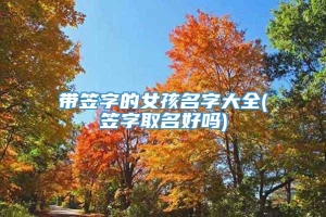 带笠字的女孩名字大全(笠字取名好吗)