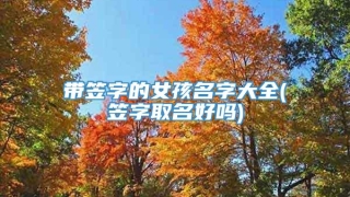 带笠字的女孩名字大全(笠字取名好吗)