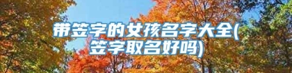 带笠字的女孩名字大全(笠字取名好吗)