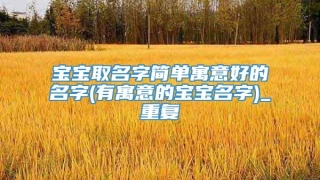 宝宝取名字简单寓意好的名字(有寓意的宝宝名字)_重复