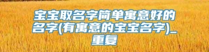 宝宝取名字简单寓意好的名字(有寓意的宝宝名字)_重复