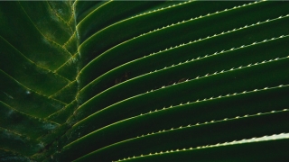 八字断父母口诀(八字看子女口诀)