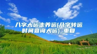 八字大运走养运(八字转运时间查询大运)_重复