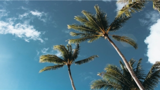 面相顺口溜(面相学顺口溜)