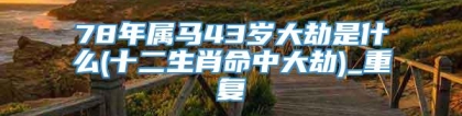 78年属马43岁大劫是什么(十二生肖命中大劫)_重复