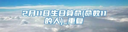 2月11日生日算命(命数11的人)_重复